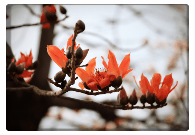 639_445gif 动态图 动图