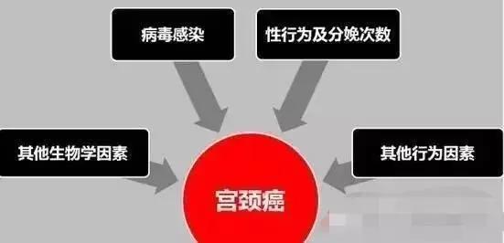 關於宮頸癌的症狀及治療