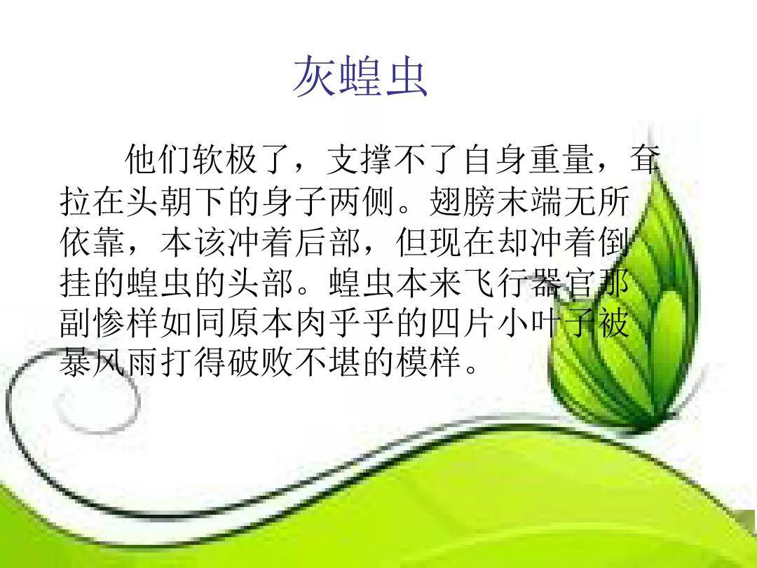 微课堂昆虫记名著视频讲解