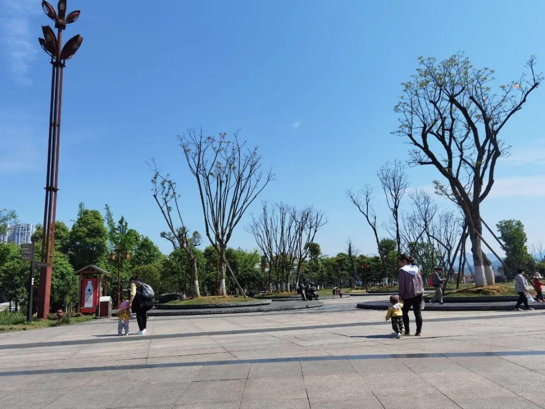 仁怀这张最靓丽的名片美得闪眼