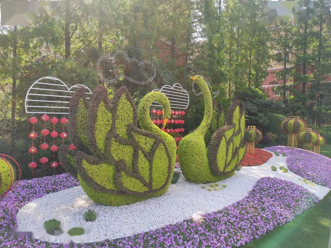 秀出普陀绿化名片专业范儿③多彩的花坛