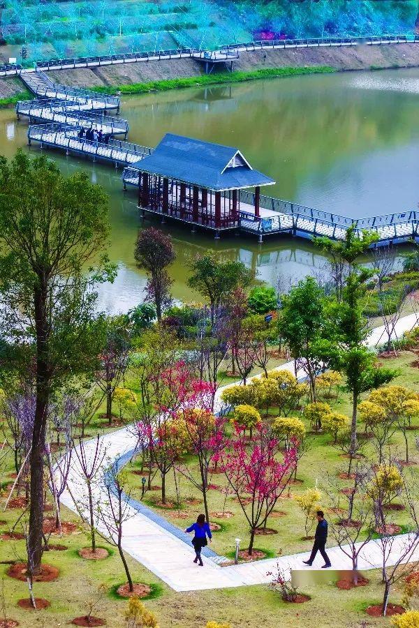 漳州十里蓝山景区图片图片
