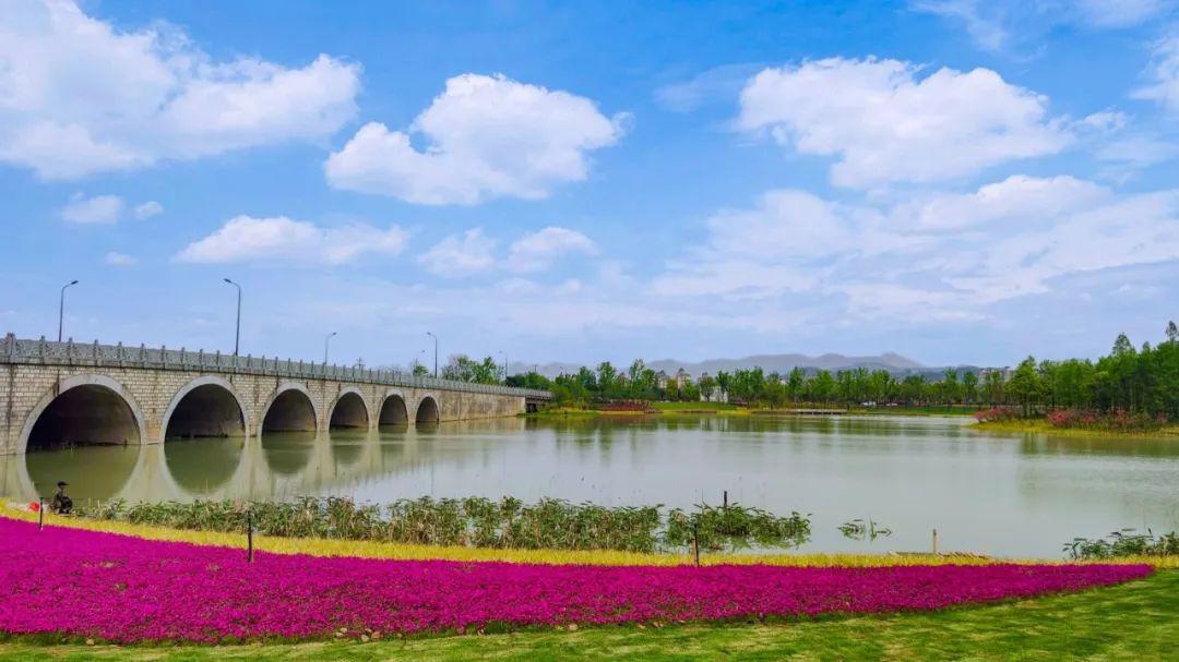 簇簇黃遍地綠意靈溪公園位於靈峰國家級旅遊度假區,滸溪西