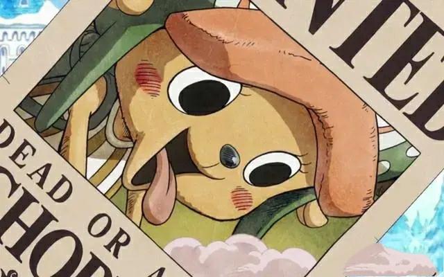 海贼王:比山贼王还要邪恶的存在,万恶的海鸥肩负着怎样的使命?