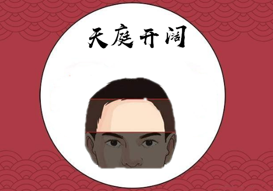 天庭开阔在面相学中,额头即"天庭",又被称为"事业宫",从此处能透视出
