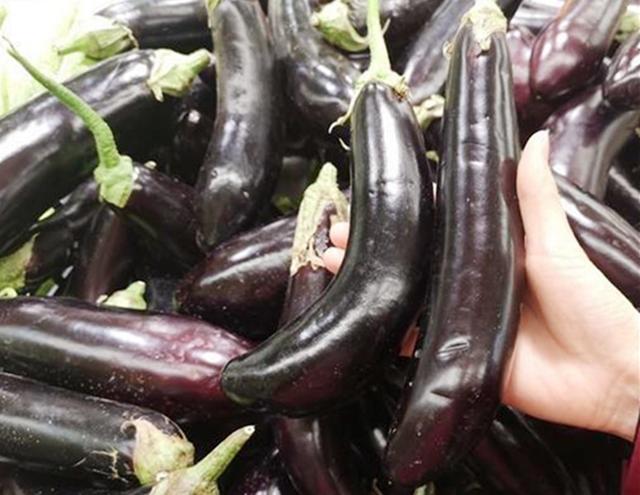 原创买茄子时挑直的还是弯的好老菜农说漏嘴以后别乱买了