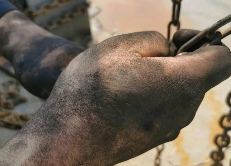 这双手的主人翁国宝是装配工