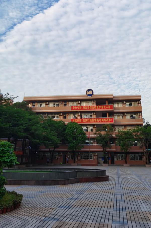 枝头绽放凤凰花开记南海中学分校优美的校园环境