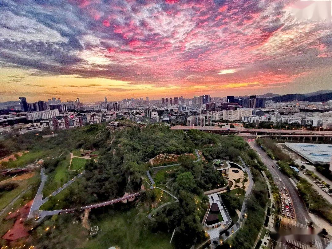 深圳园林参与建设西丽生态公园正式对外开放