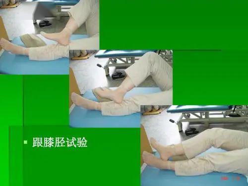 膝关节研磨试验图片