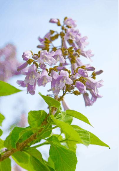 快到这里寻找记忆吧!_宿州