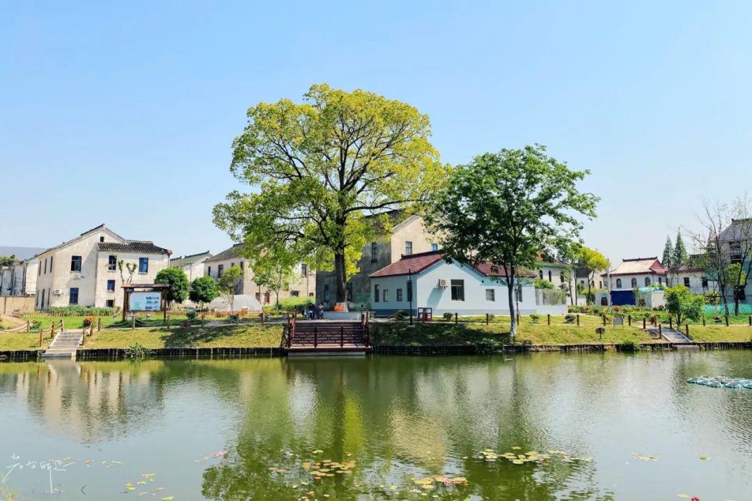 宕,桃花湾,老湾,李袁村西郭家巷,南塘南岸,溪南村穆家庄,东泾岸,泗湖