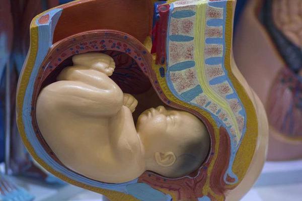 原创胎盘位置低还会上移吗准妈妈正确保胎几点别忽视