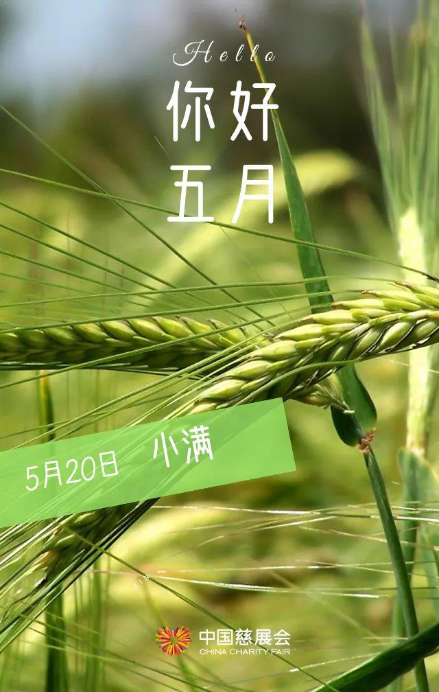 愿你的五月,活得真实,爱得赤诚