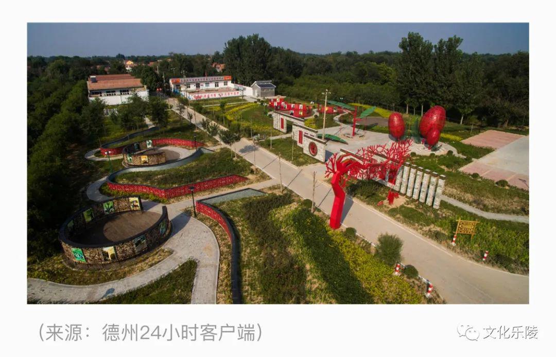 山东故事德州乐陵市提升农村人居环境绘制美丽乡村新画卷