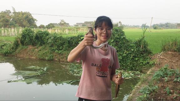 农村这种鱼清蒸非常好吃小翠在鱼塘连钓上两条