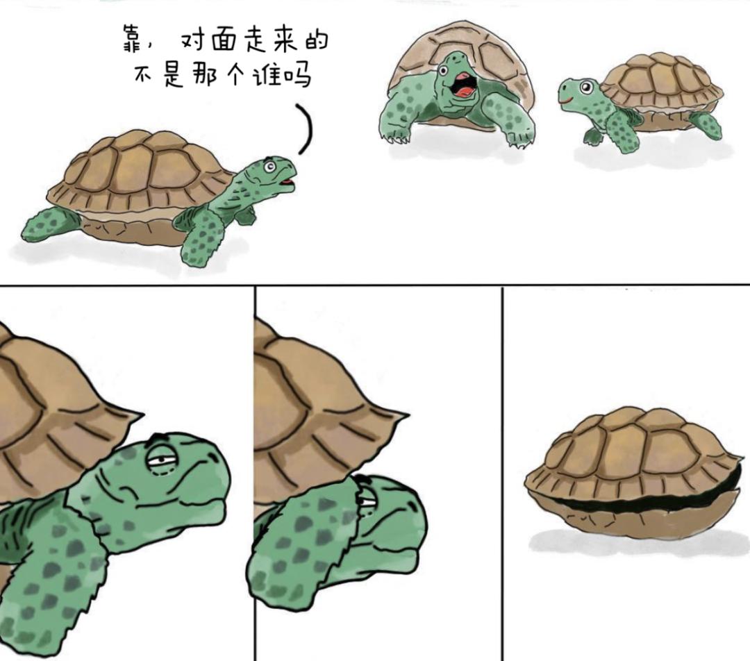 ▼都能立刻缩进壳里看见所有不想见,不想打招呼的人间歇性想做只乌龟