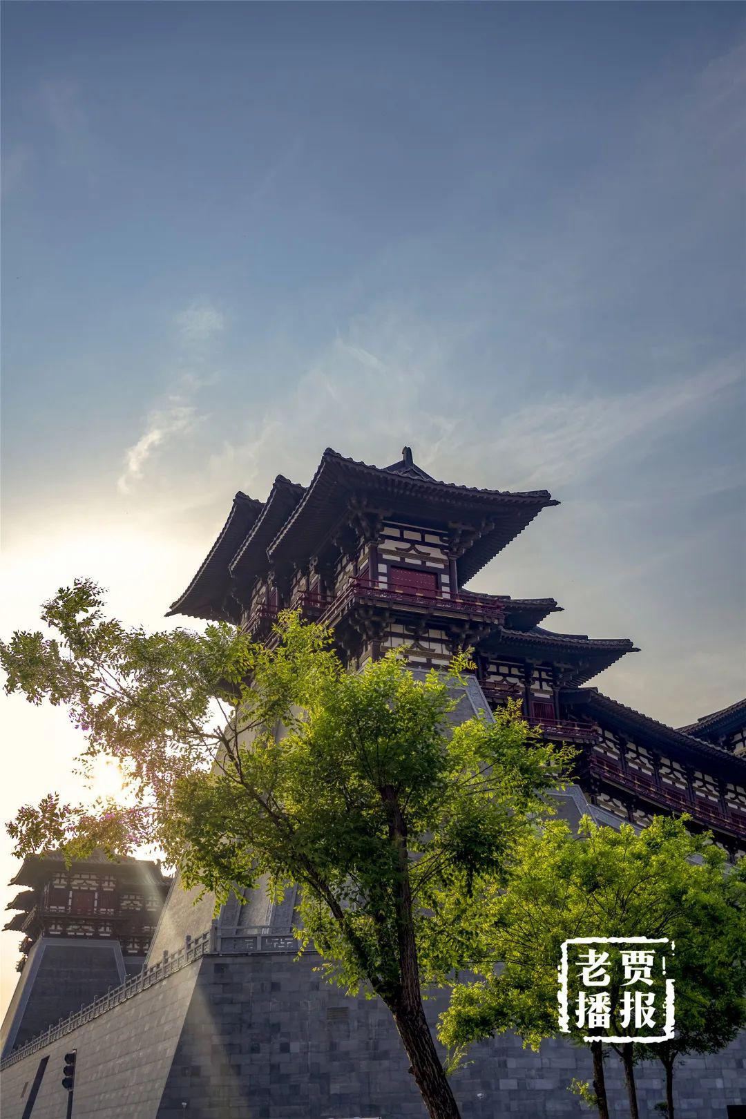一曲倾城恋洛阳