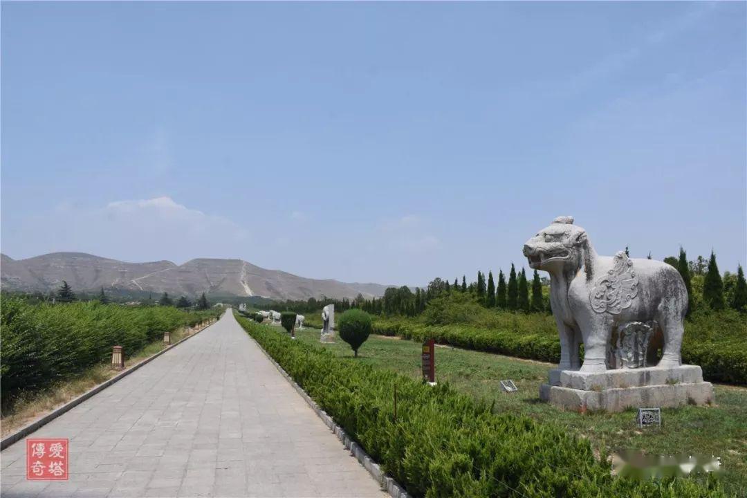 原创河北博野县兴国寺塔和景龙四年那些事