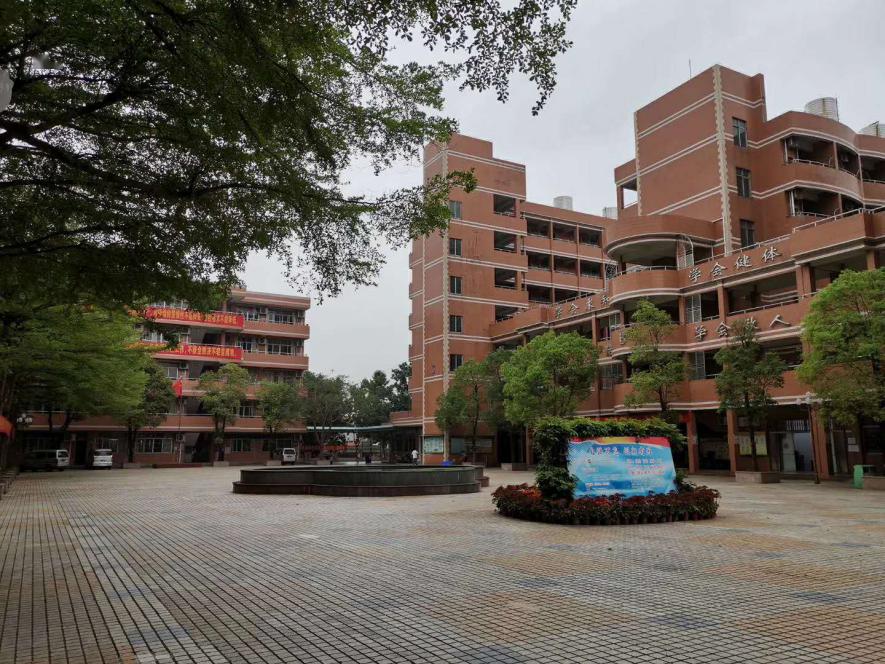 枝头绽放凤凰花开记南海中学分校优美的校园环境