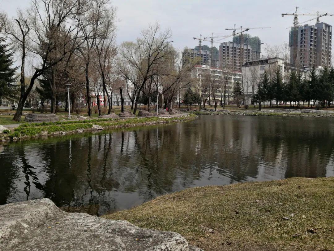 五一假期這樣的天水湖公園你愛了嗎