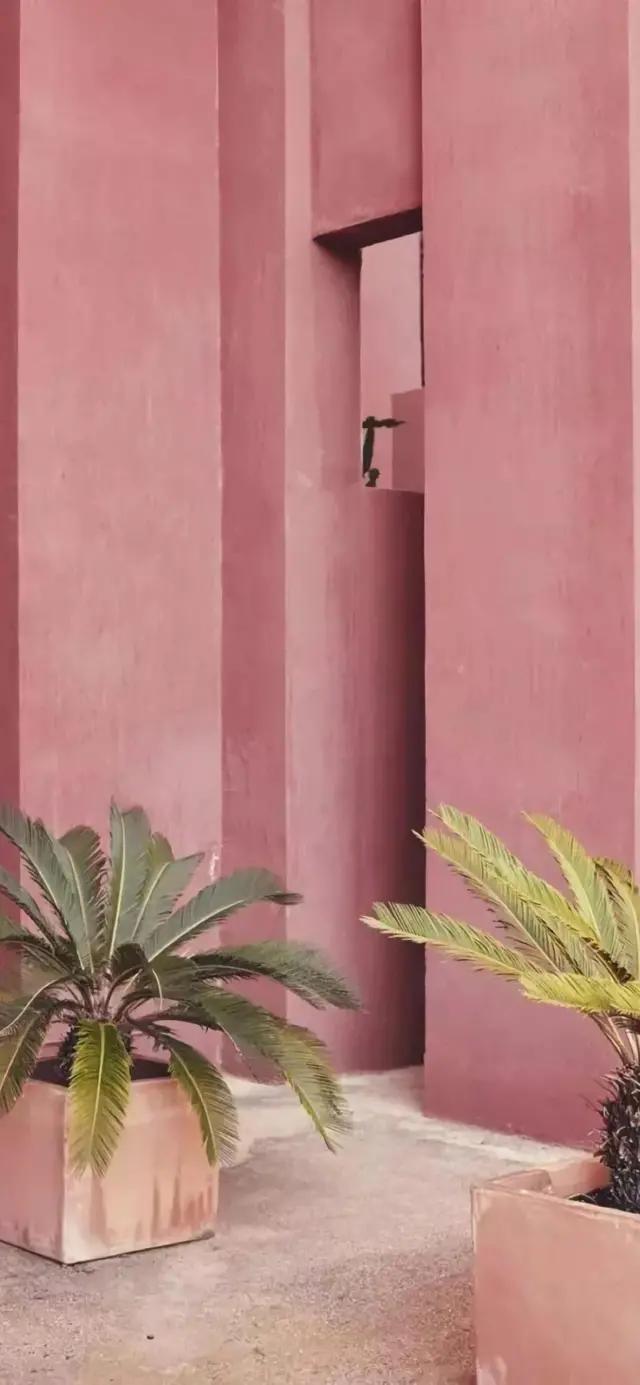 粉粉嫩嫩的粉色背景图