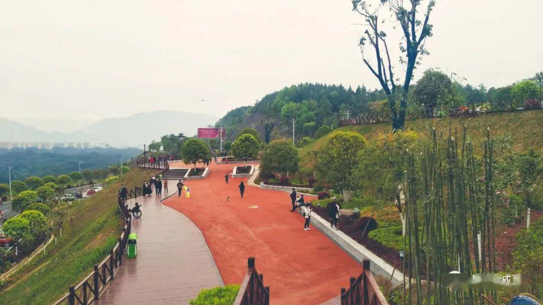 所有人@安全出行,规范停车,恩施州城七里坪"网红打卡地"停车指南