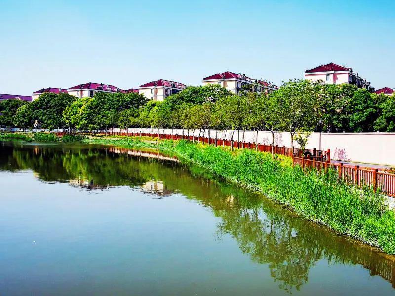 这组新老照片:带你领略新泾镇的变迁历程