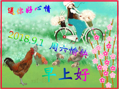 400_300gif 动态图 动图