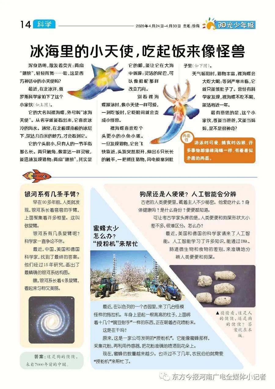 东方今报电子报图片