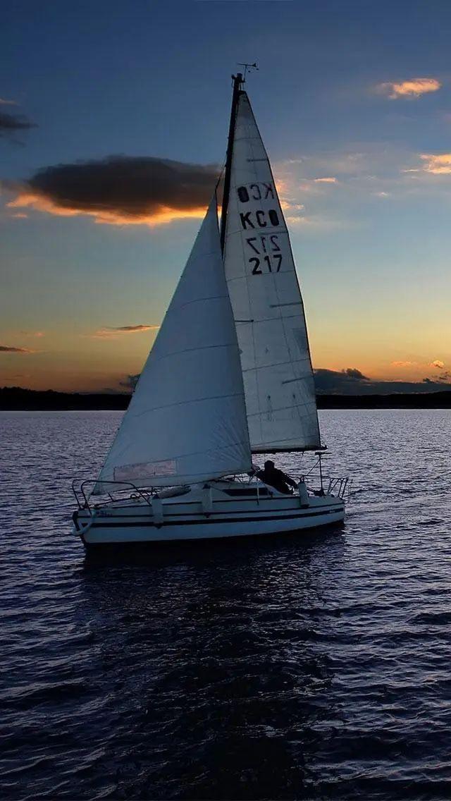 硬核航班停飞24个荷兰中学生帆船横渡大西洋回国