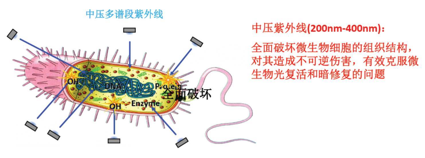幸好海水可以阻隔太阳光子,让生命可以在海洋中诞生.
