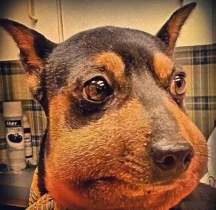 其他一些网友,也纷纷晒出拔完智齿后脸肿成包子的样子: "有人即使拔完