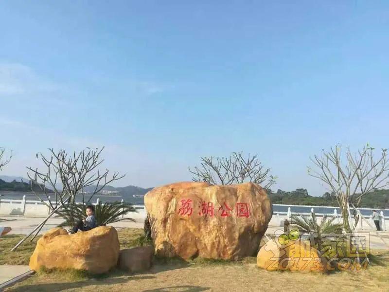 而挂绿湖所在区域正好都是荔湖街管辖,这个时候公布挂绿湖改名为荔湖