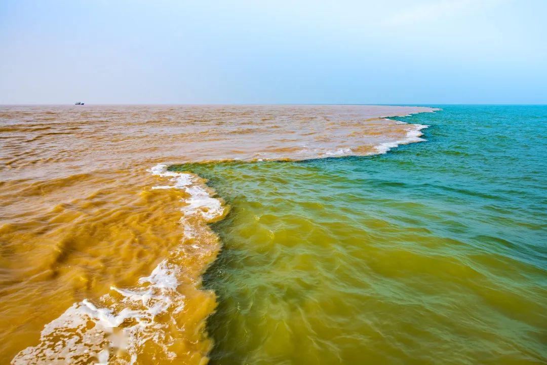 东营首场摄影季云展览点进来让孩子从镜头里看到缤纷的远方