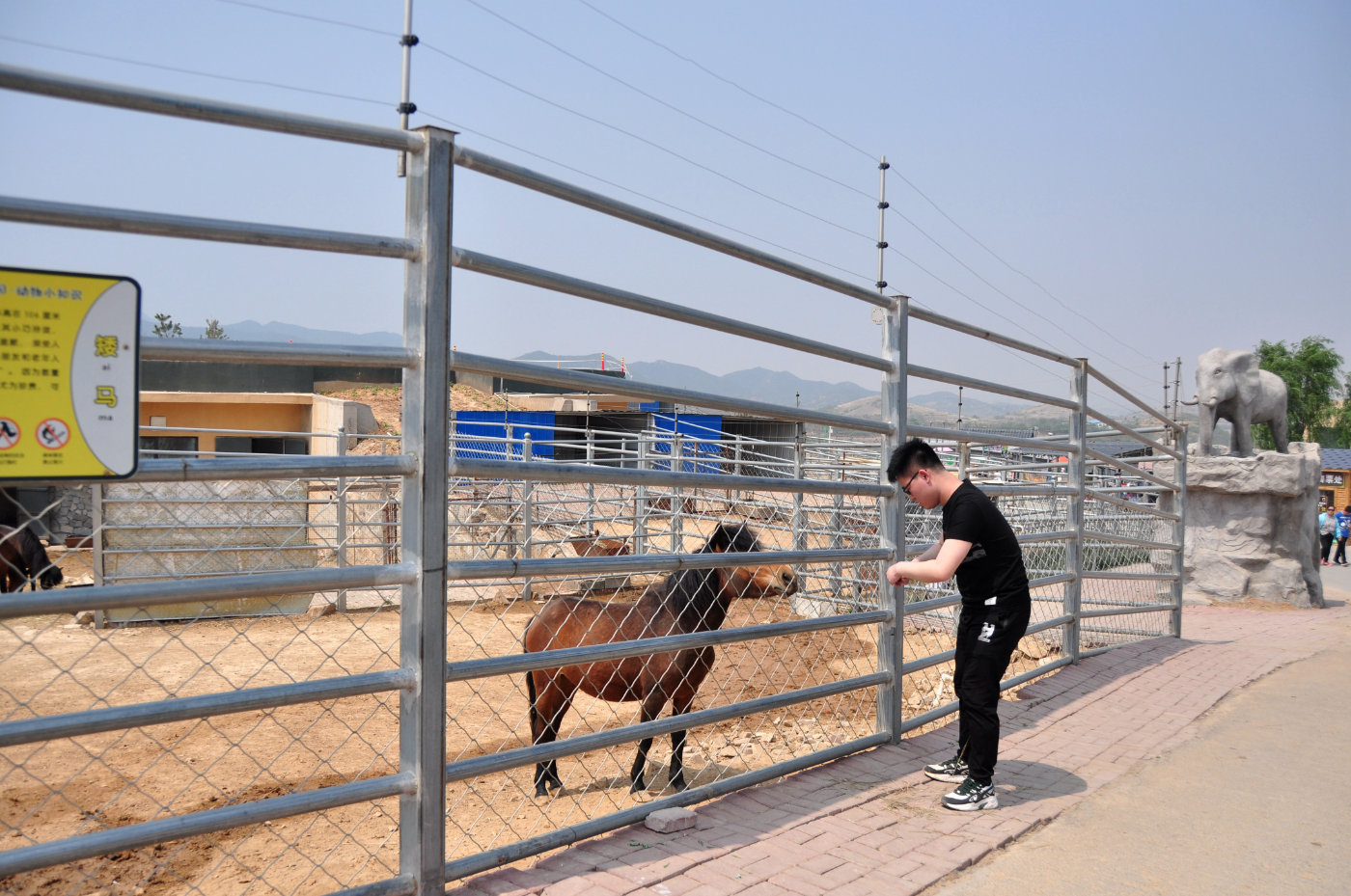 五一小長假哪裡去邯鄲佛山野生動物園戶外空氣新鮮老少皆宜