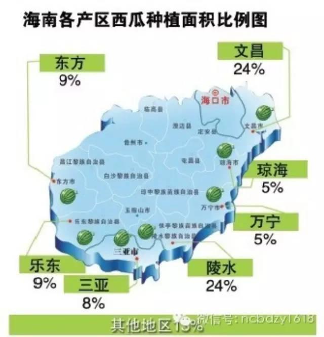 南蔬市场冬天吃的西瓜从哪儿来的竟有30万亩呢
