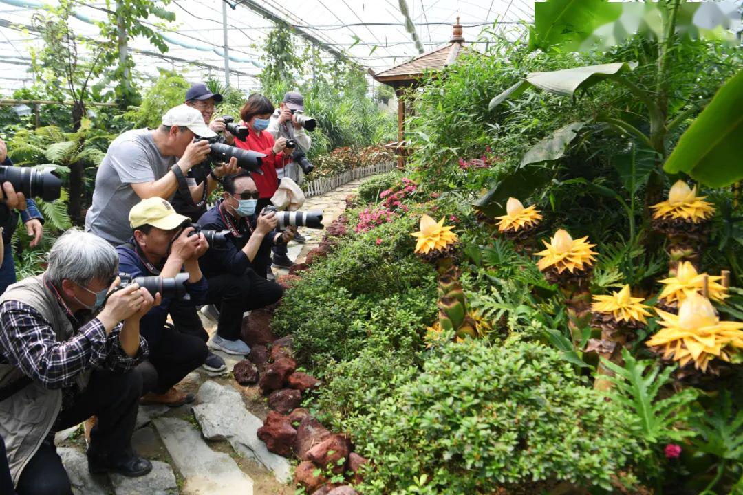 春游江淮请您来|5000多种植物!快来亳州这里体验大自然的神奇_科普