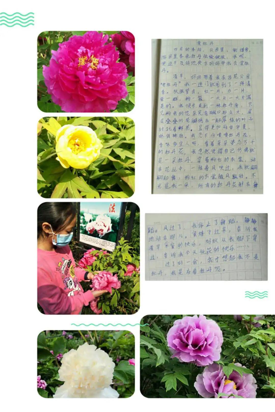 欣赏着一朵朵盛开的牡丹,品味着他们一句句稚嫩的感言,有种身临其境