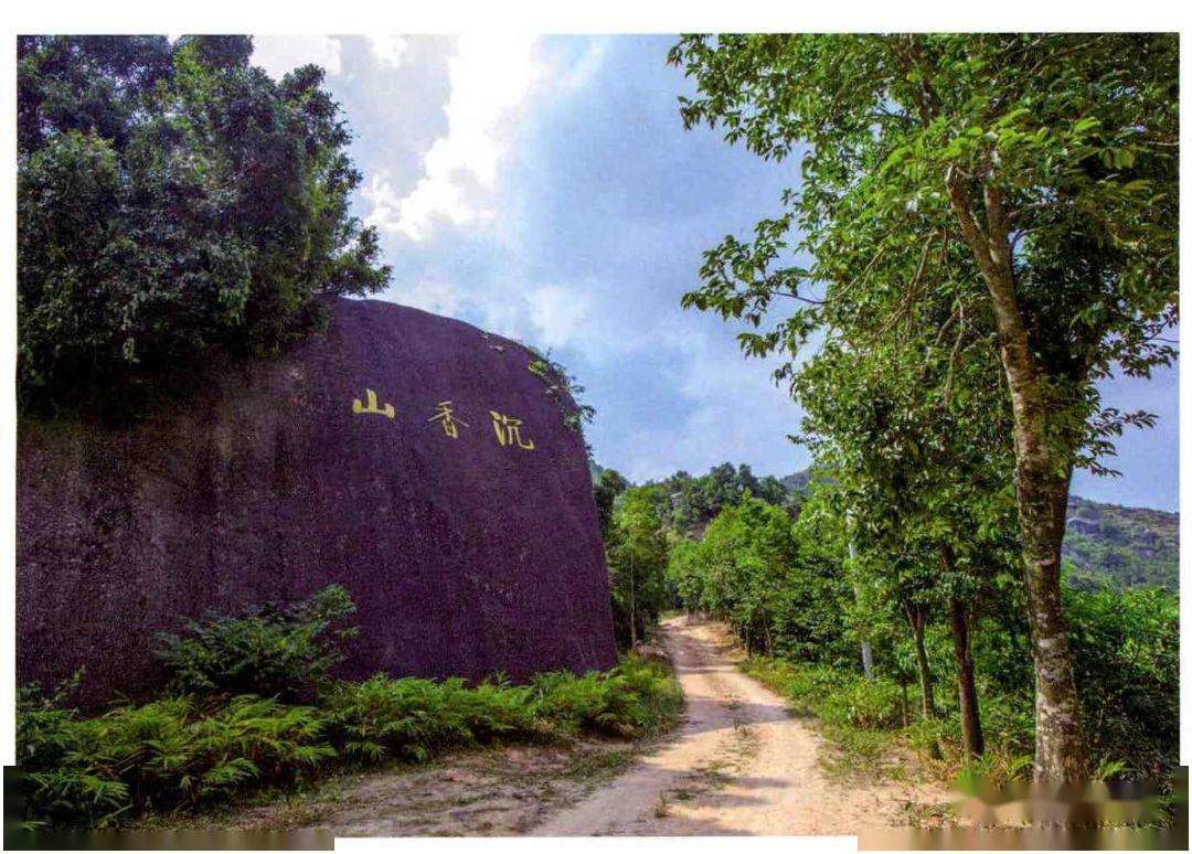 观珠再刷屏,原来是这个原因