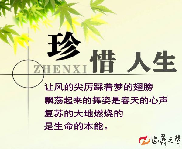 王定业原创珍惜人生