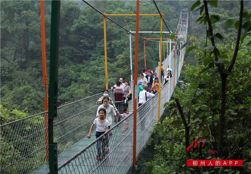 長假第一天車多人也多景區園區限流柳州各縣區慶五一活動豐富多彩