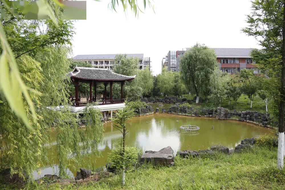 走进你,贵阳清镇博雅国际实验学校(附2019年高一招生简章,供参考)