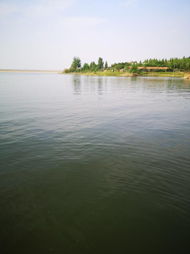 爷俩钓大鱼之彩山水库拉黄尾