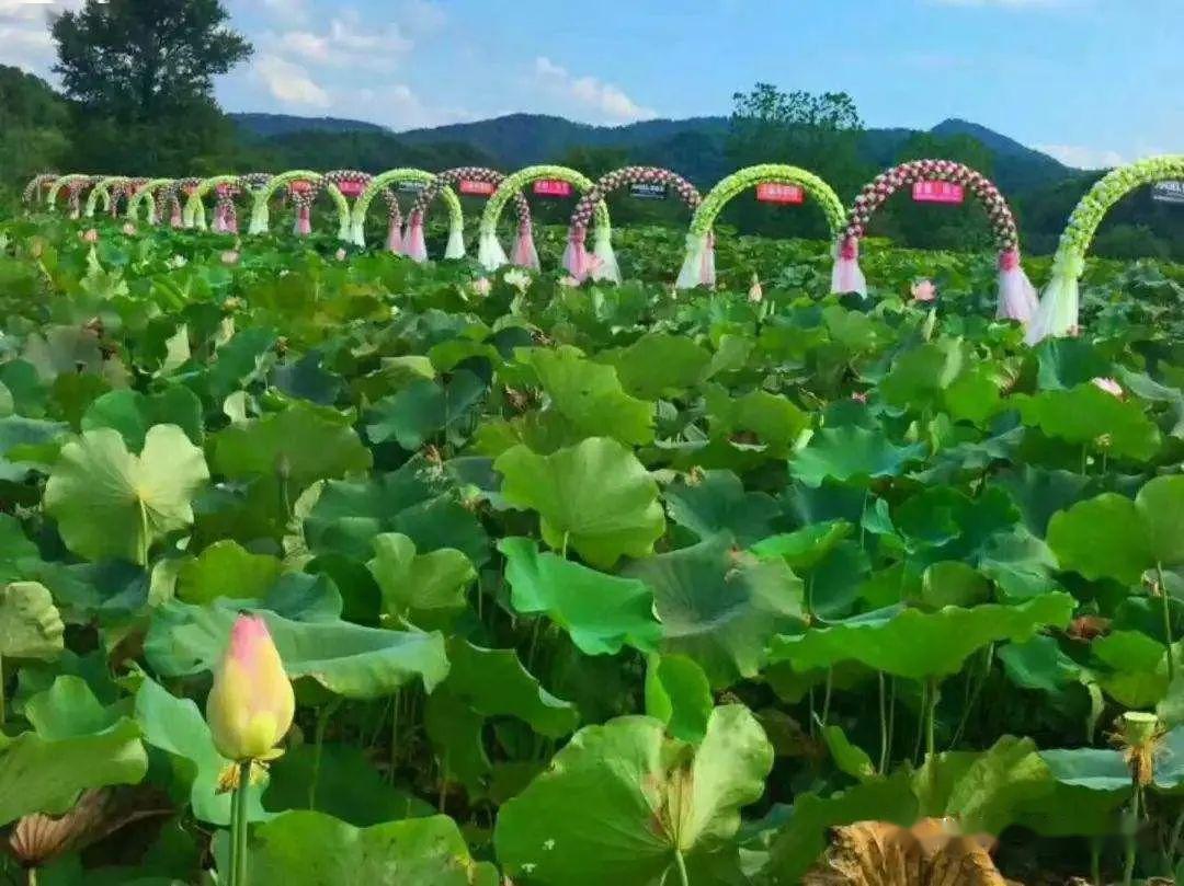 德安老山湾生态庄园一日游