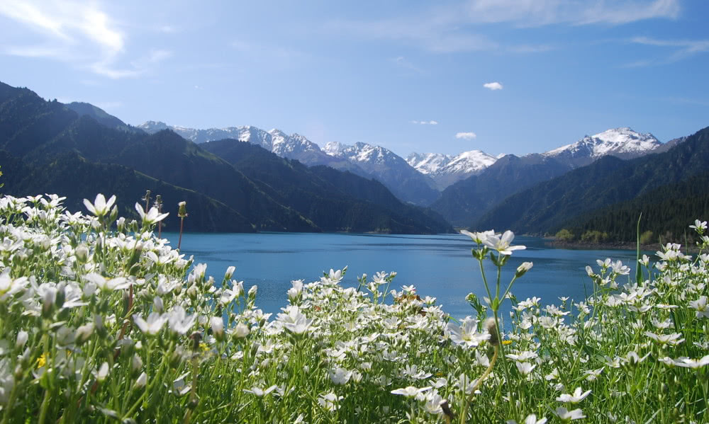 夏日限定天山天池這個夏季等你發現更多美景