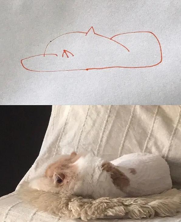 "看完这幅画,我家猫骂骂咧咧连票都没买,扛着火车就走了