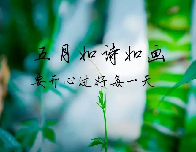 五月你好mayiloveyou