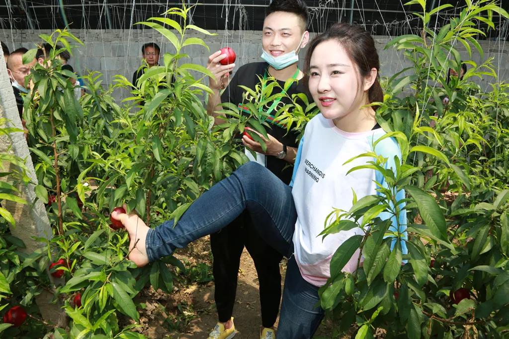 原创音乐人,知名主播小九龙,淘宝,苏宁易购热门带货主播张子墨等坐拥