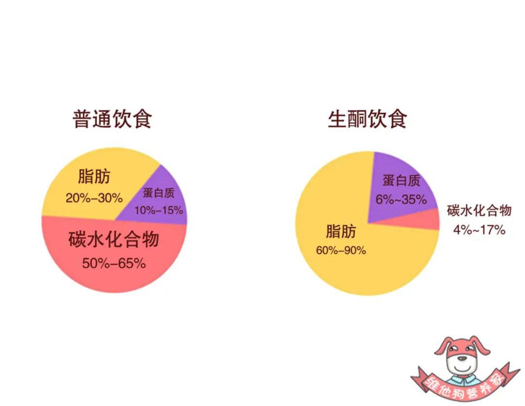 不吃主食你的脂肪就能分解了吗解密生酮饮食减肥法的真相